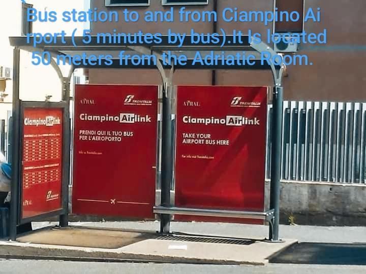 Adriatic Room 50 M Dalla Stazione Ferroviaria Di Ciampino E Dalla Navetta Aeroportuale 외부 사진